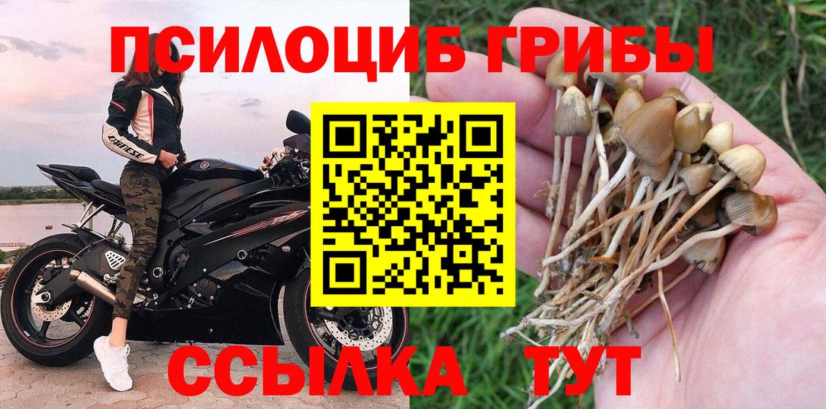 Псилоцибиновые грибы Psilocybine cubensis Ростов Великий