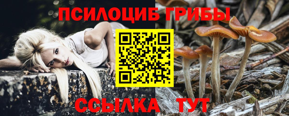 Ростов Великий  Галлюциногенные грибы ЛСД  цена   Вход с VPN 
